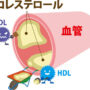 コレステロール