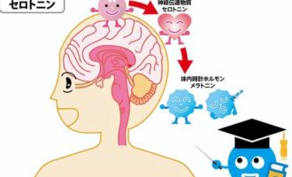 脳内物質