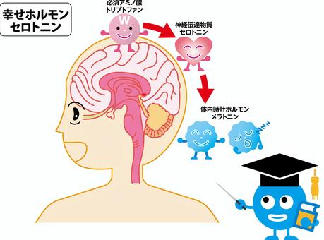 脳内物質